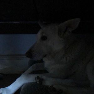 Meet your Posher, Andrew